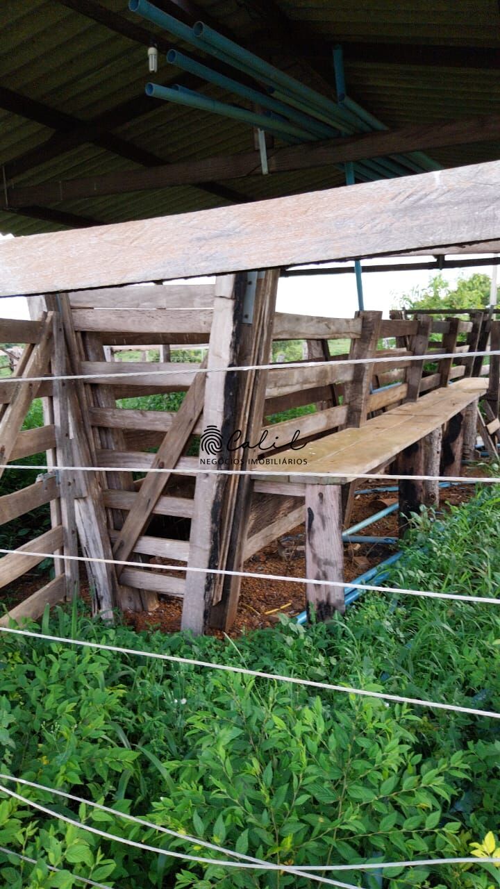 Fazenda-Sítio-Chácara, 704 hectares - Foto 33