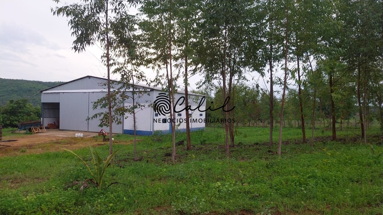 Fazenda-Sítio-Chácara, 704 hectares - Foto 27