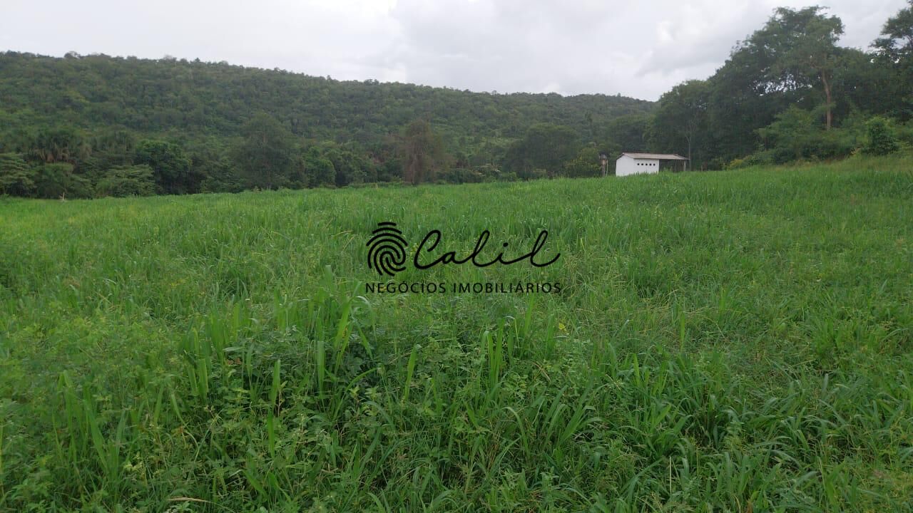 Fazenda-Sítio-Chácara, 704 hectares - Foto 1