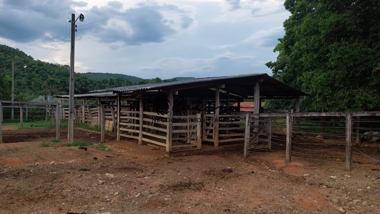 Fazenda-Sítio-Chácara, 704 hectares - Foto 18
