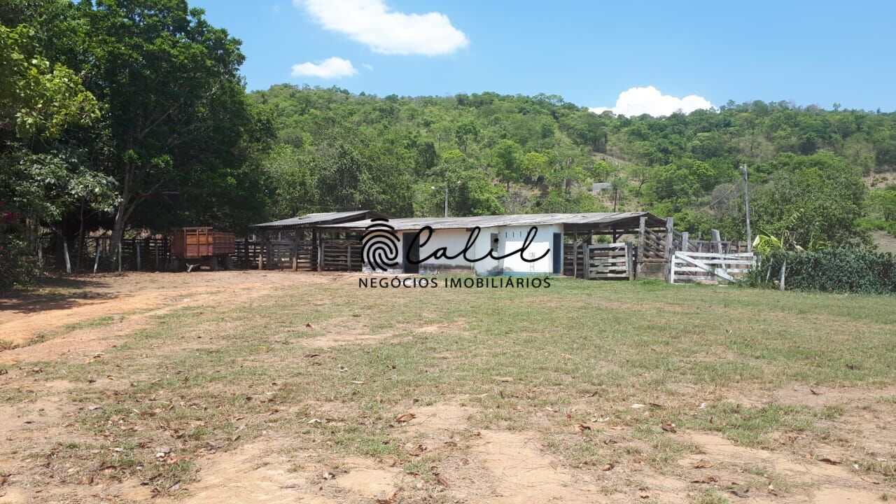 Fazenda-Sítio-Chácara, 704 hectares - Foto 15