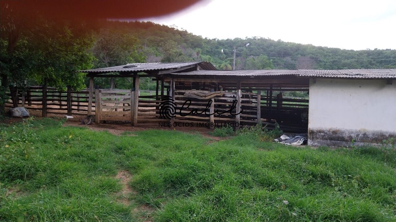 Fazenda-Sítio-Chácara, 704 hectares - Foto 16