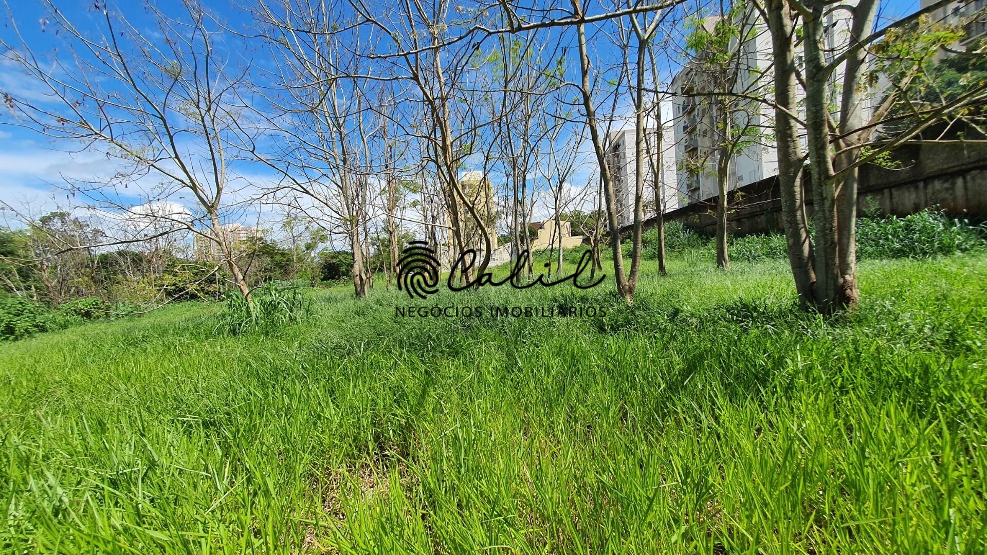 Terreno à venda - Foto 8