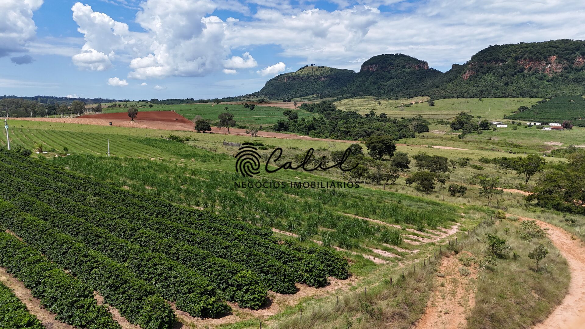 Fazenda à venda com 1 quarto, 750800m² - Foto 13