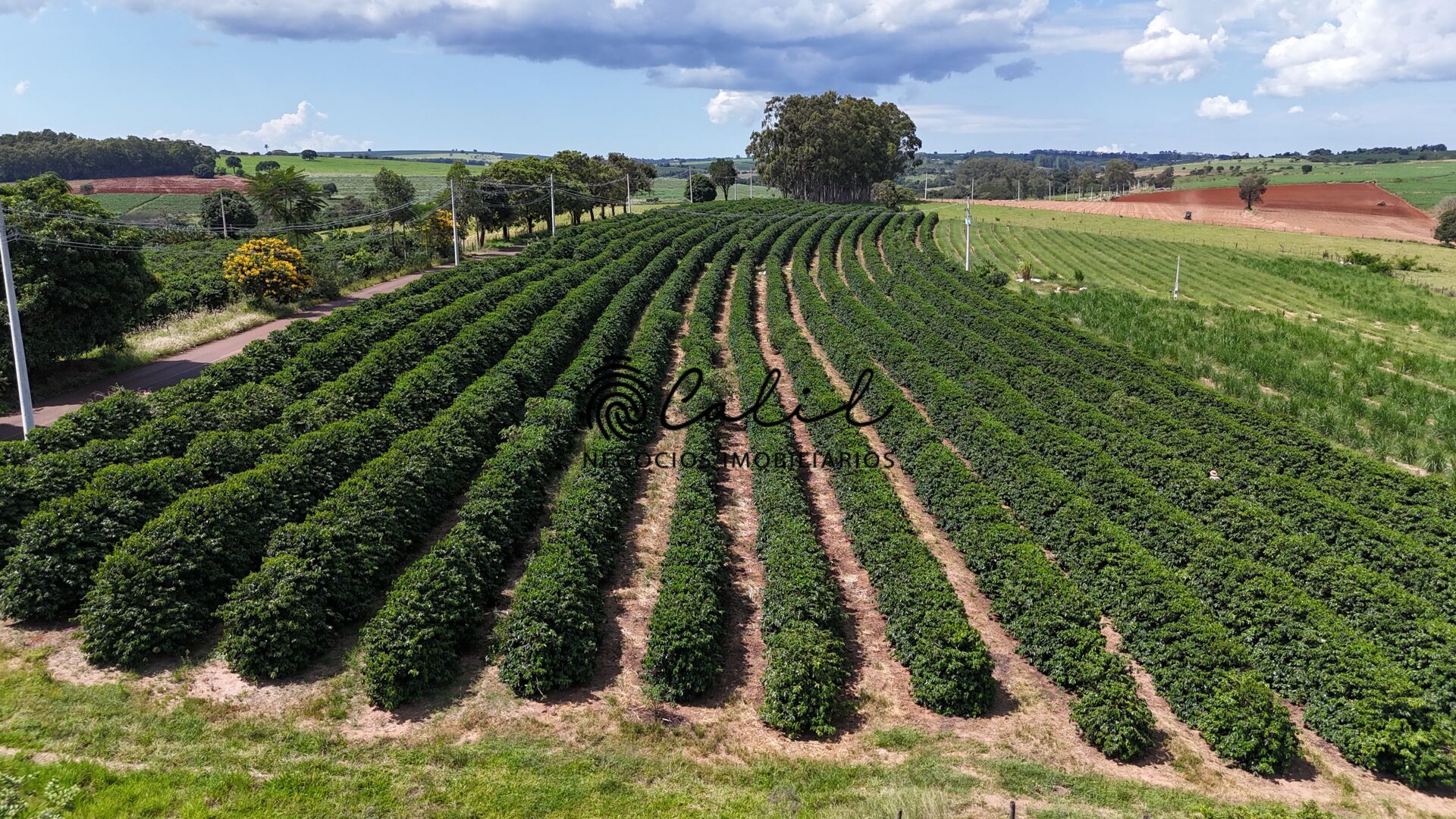 Fazenda à venda com 1 quarto, 750800m² - Foto 12