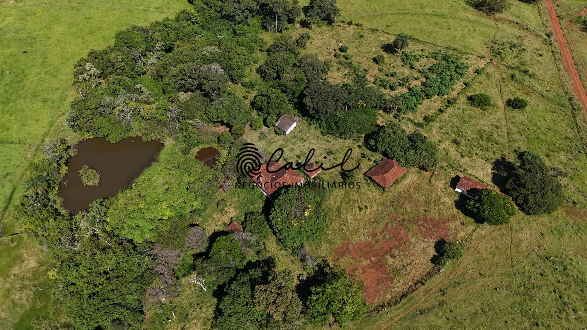 Fazenda à venda com 1 quarto, 750800m² - Foto 5
