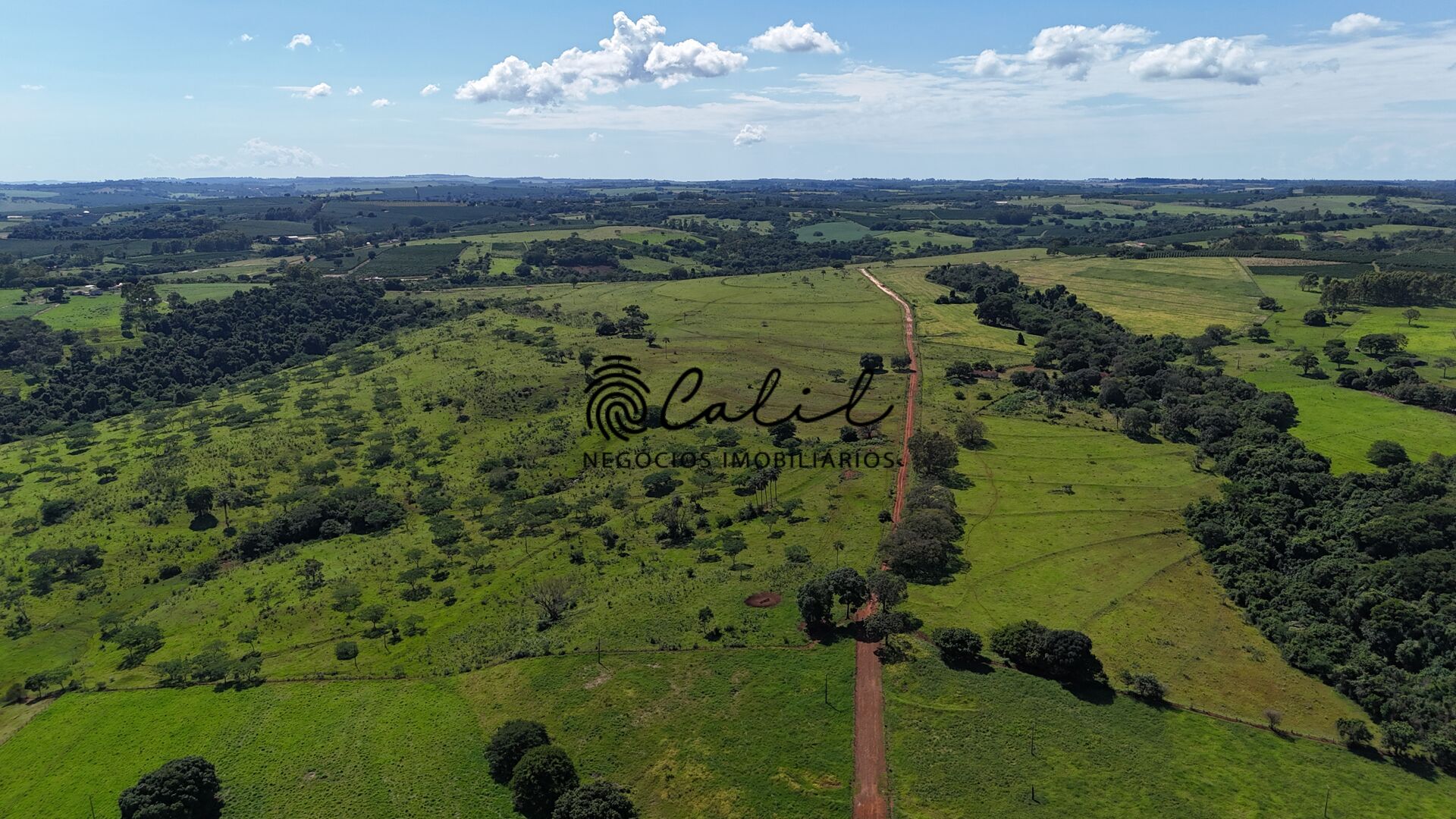 Fazenda à venda com 1 quarto, 750800m² - Foto 7