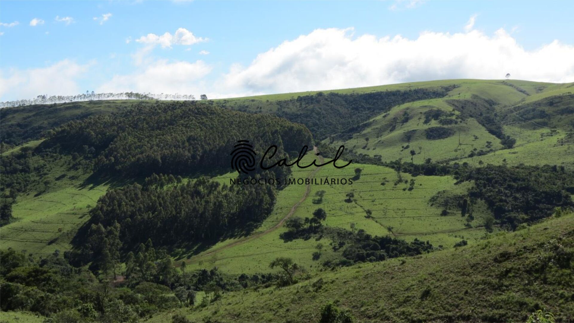 Fazenda-Sítio-Chácara, 1238 hectares - Foto 4
