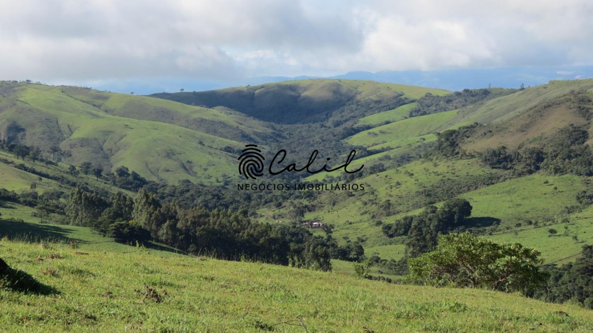 Fazenda à venda com 6 quartos, 12380000m² - Foto 8