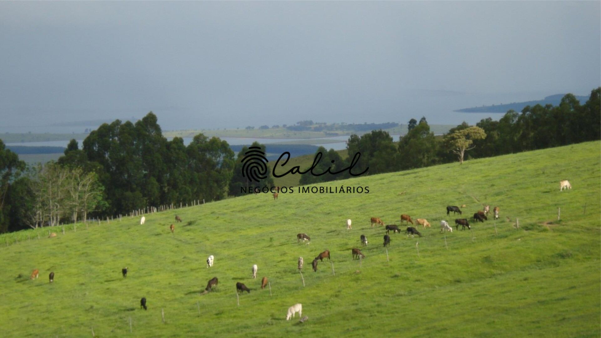 Fazenda à venda com 6 quartos, 12380000m² - Foto 7