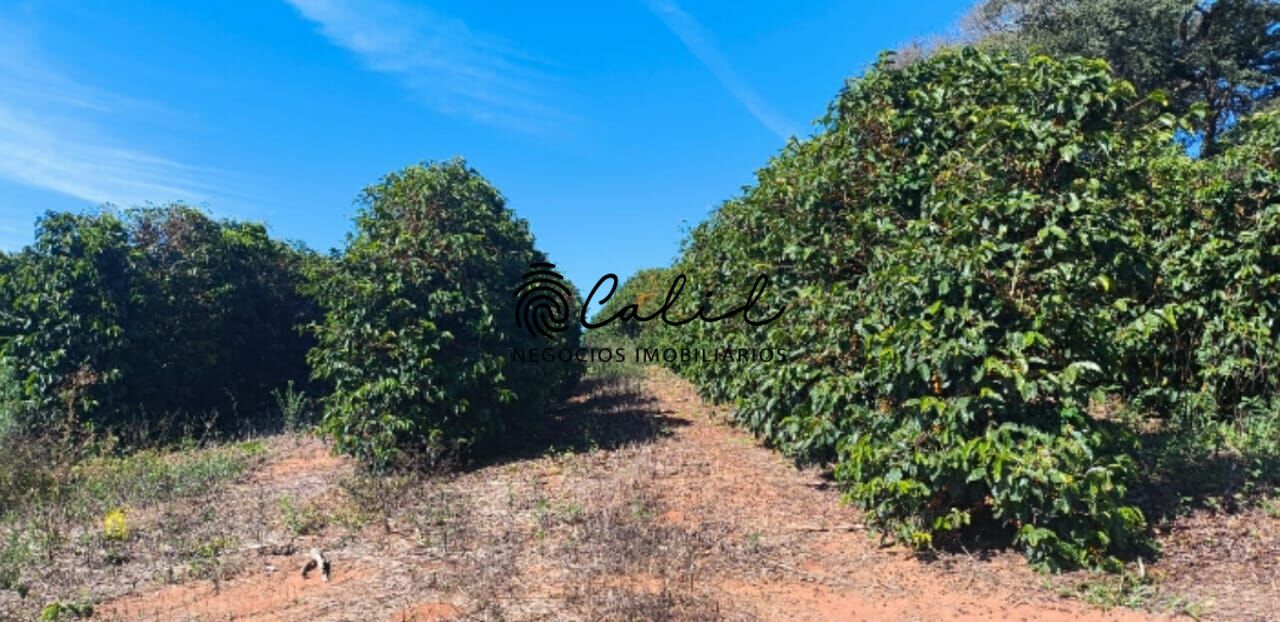 Fazenda à venda com 1 quarto, 1694000m² - Foto 19