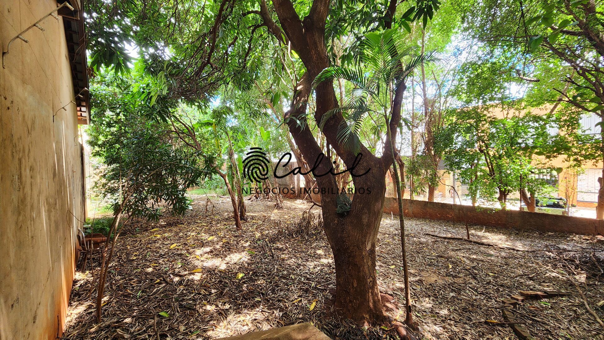 Casa, 3 quartos, 374 m² - Foto 42