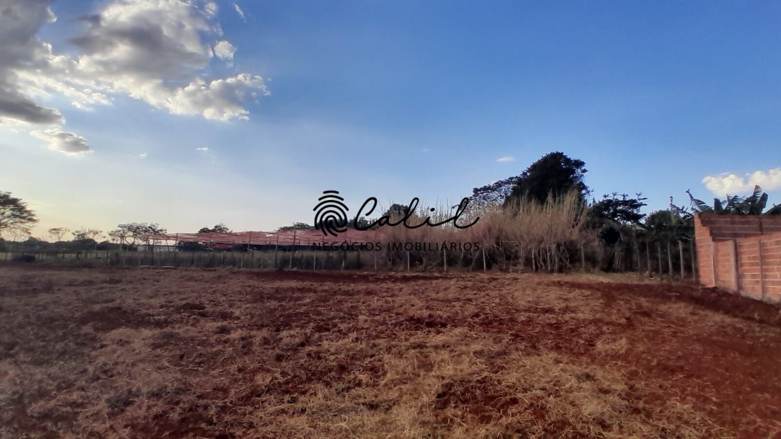 Fazenda à venda com 3 quartos, 24200m² - Foto 11