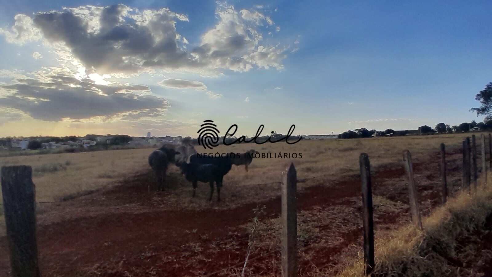 Fazenda à venda com 3 quartos, 24200m² - Foto 20