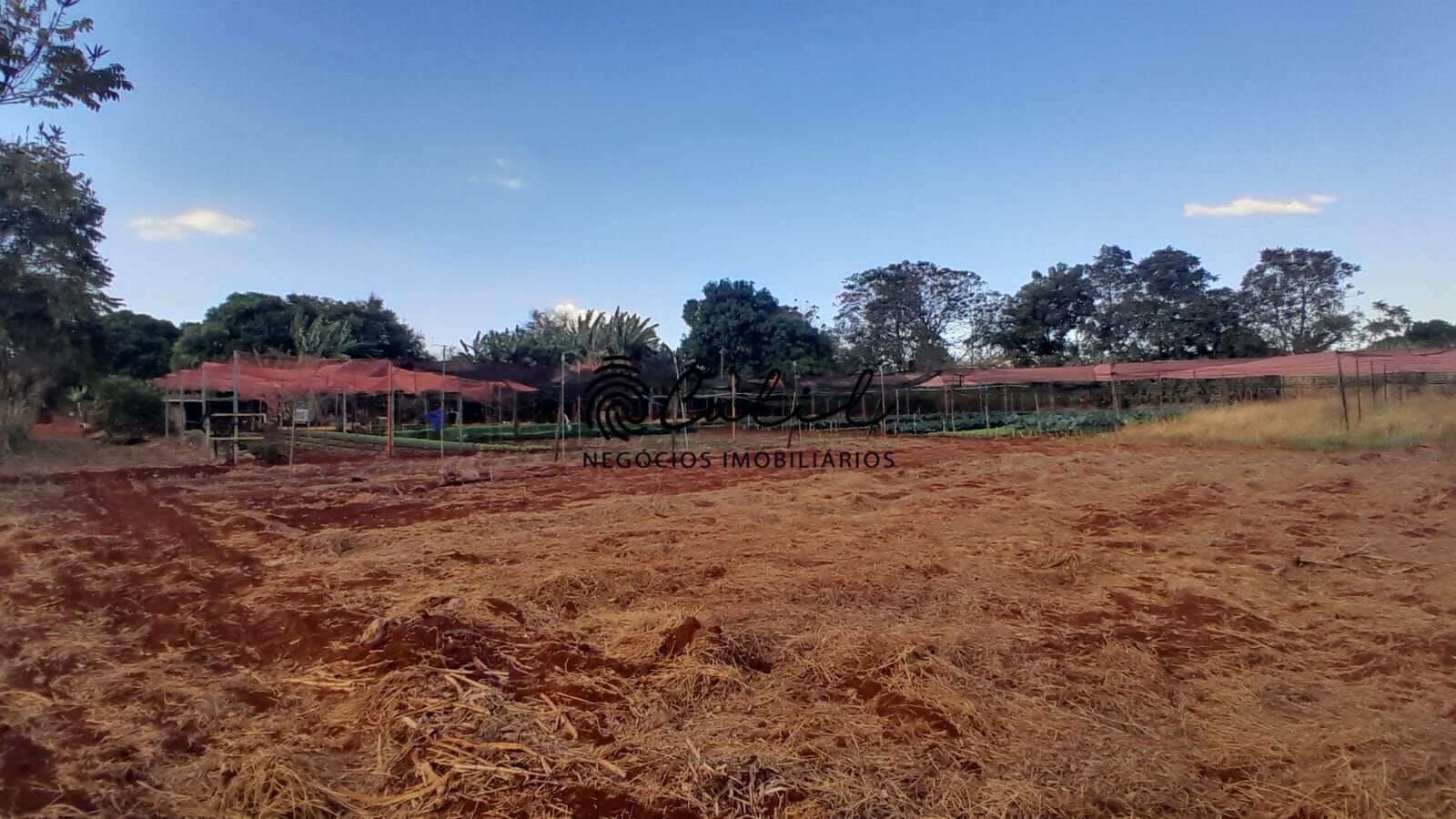 Fazenda à venda com 3 quartos, 24200m² - Foto 6