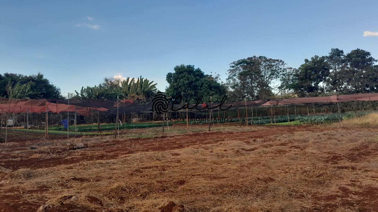 Fazenda à venda com 3 quartos, 24200m² - Foto 7