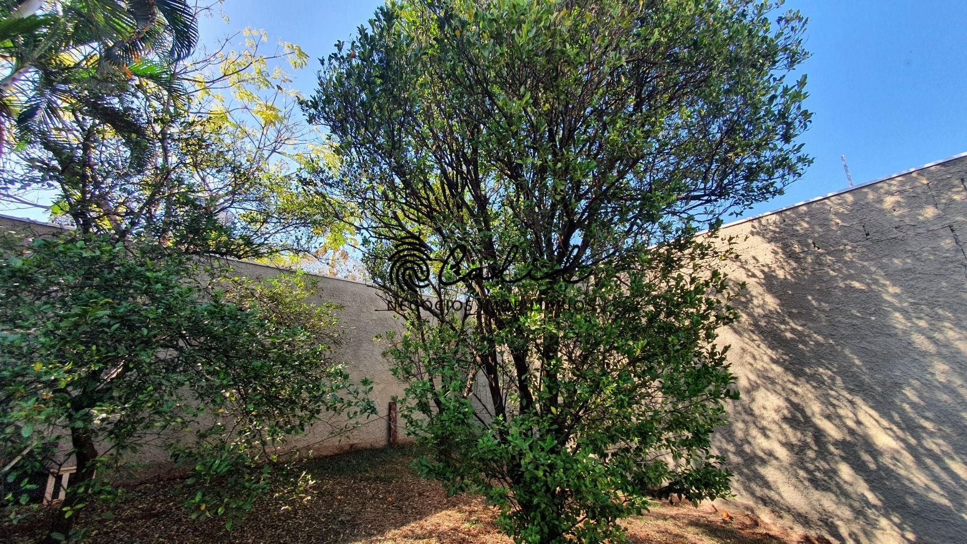 Casa, 5 quartos, 707 m² - Foto 30