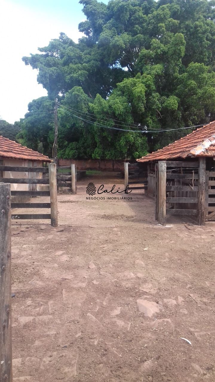 Fazenda, 198 hectares - Foto 15