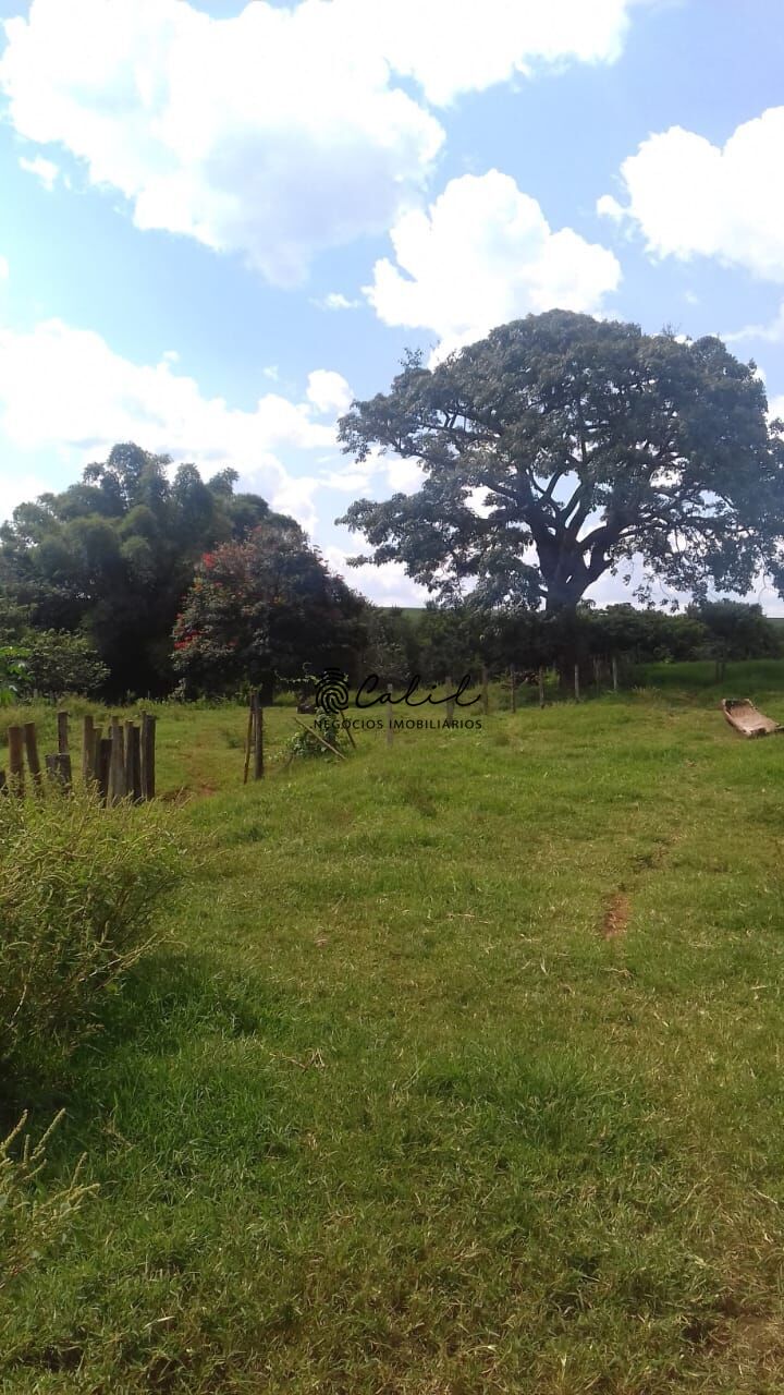 Fazenda, 198 hectares - Foto 16
