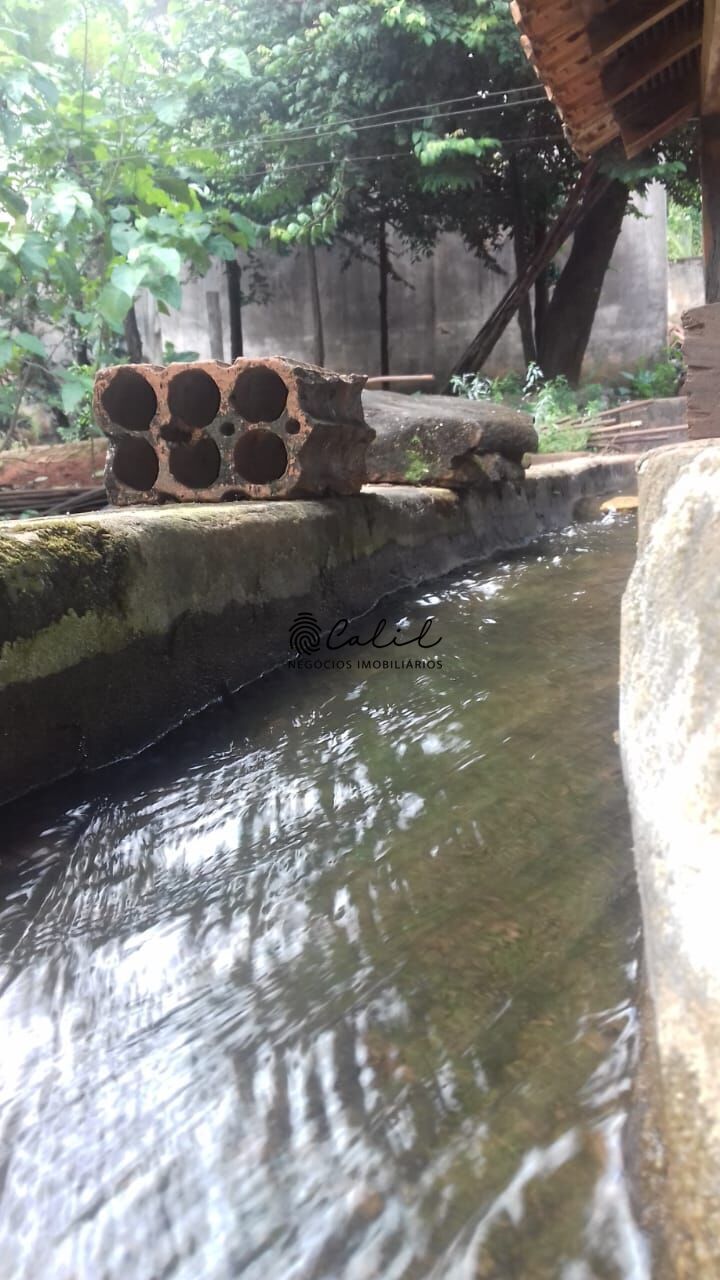 Fazenda, 198 hectares - Foto 8