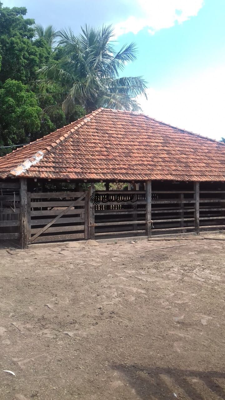 Fazenda, 198 hectares - Foto 14