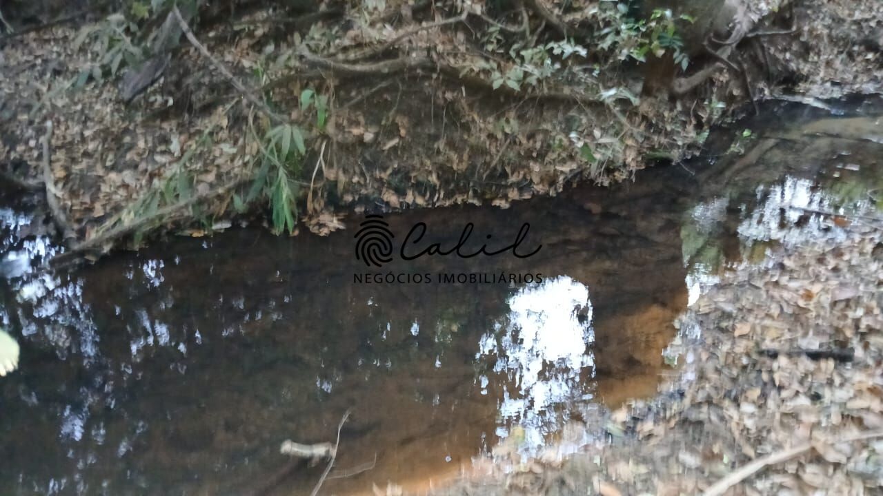 Fazenda, 198 hectares - Foto 3