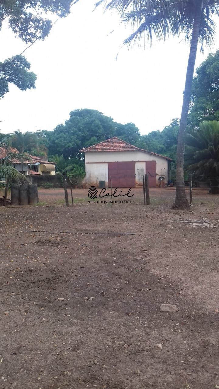 Fazenda, 198 hectares - Foto 10