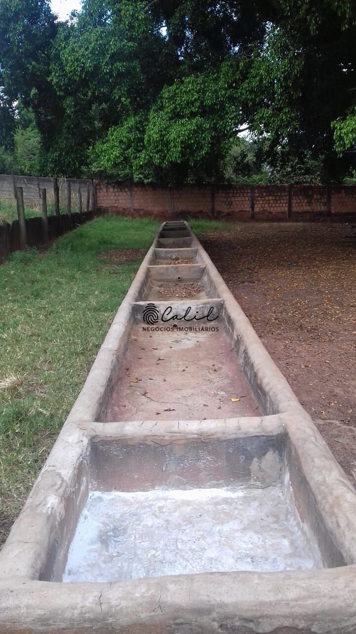 Fazenda, 198 hectares - Foto 12