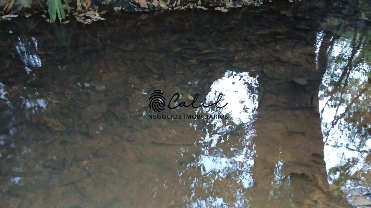 Fazenda, 198 hectares - Foto 4