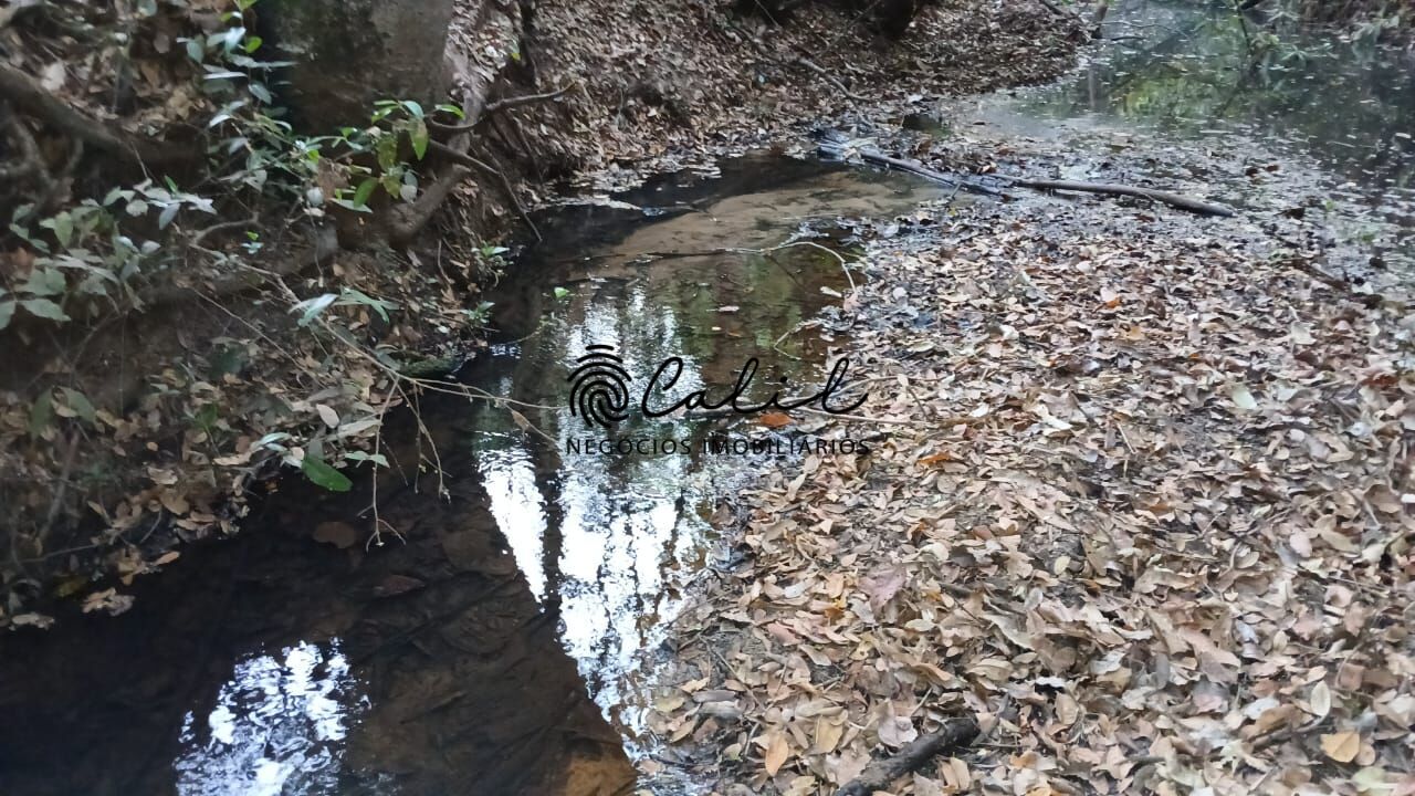 Fazenda, 198 hectares - Foto 2