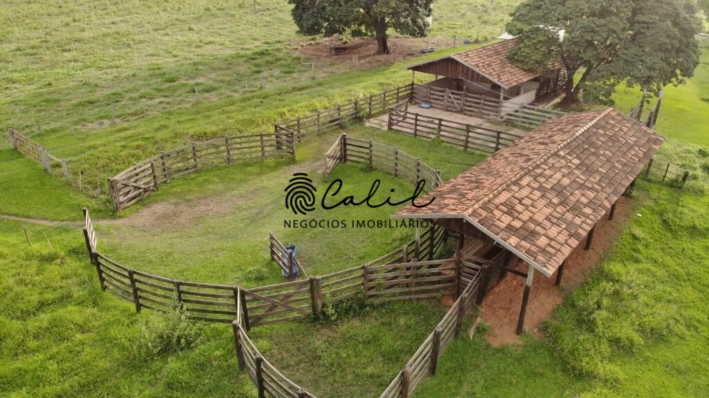 Fazenda à venda com 4 quartos, 750m² - Foto 6