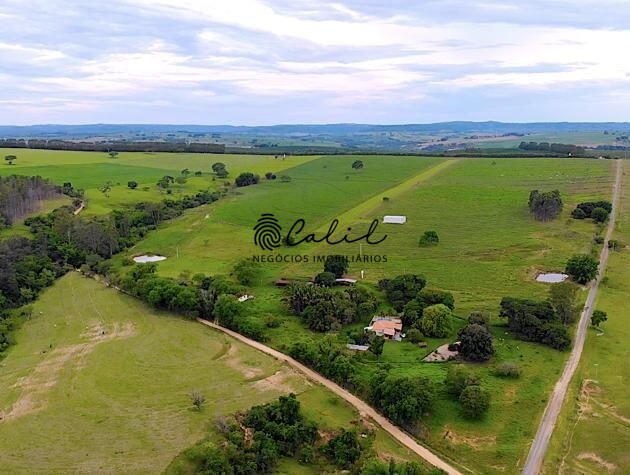 Fazenda à venda com 4 quartos, 750m² - Foto 7