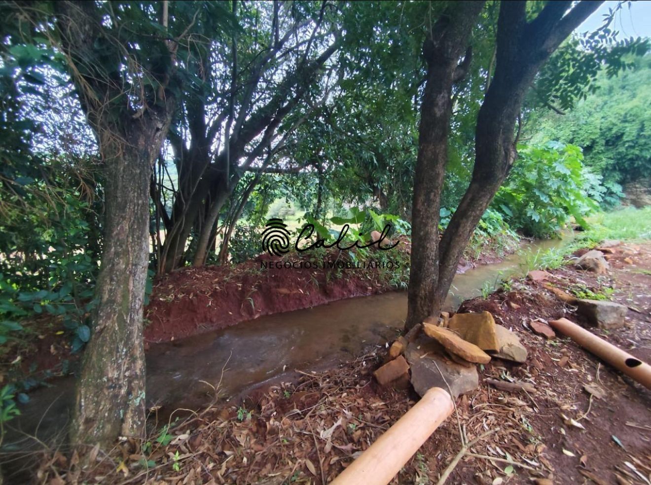 Terreno à venda, 34000m² - Foto 7