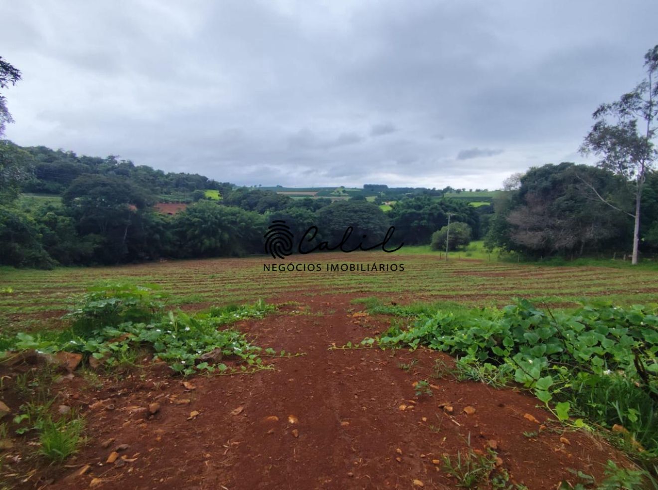 Terreno à venda, 34000m² - Foto 5
