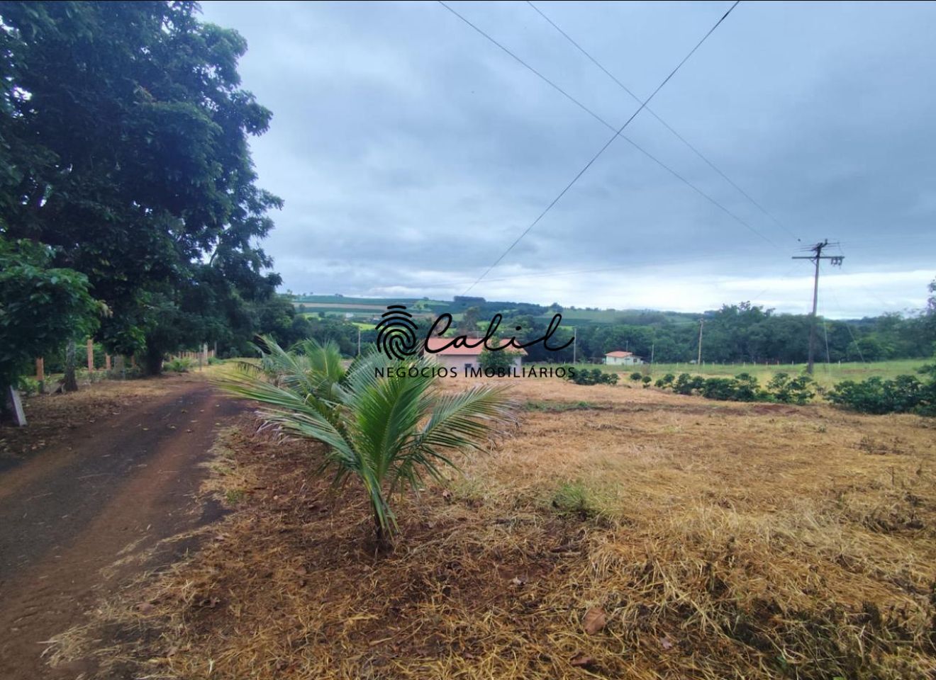 Terreno à venda, 34000m² - Foto 4