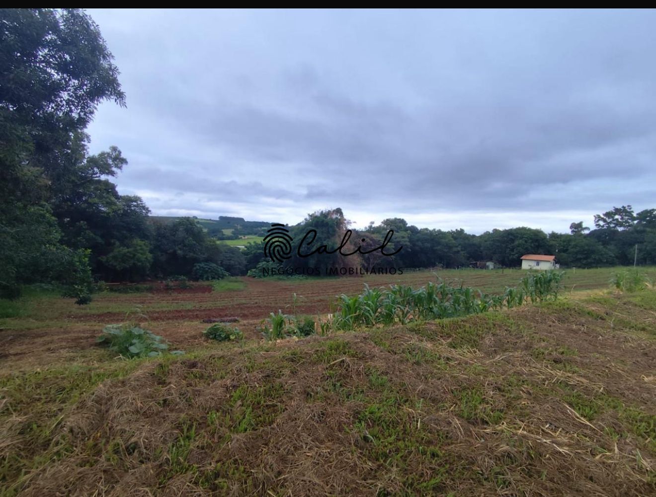 Terreno à venda, 34000m² - Foto 6