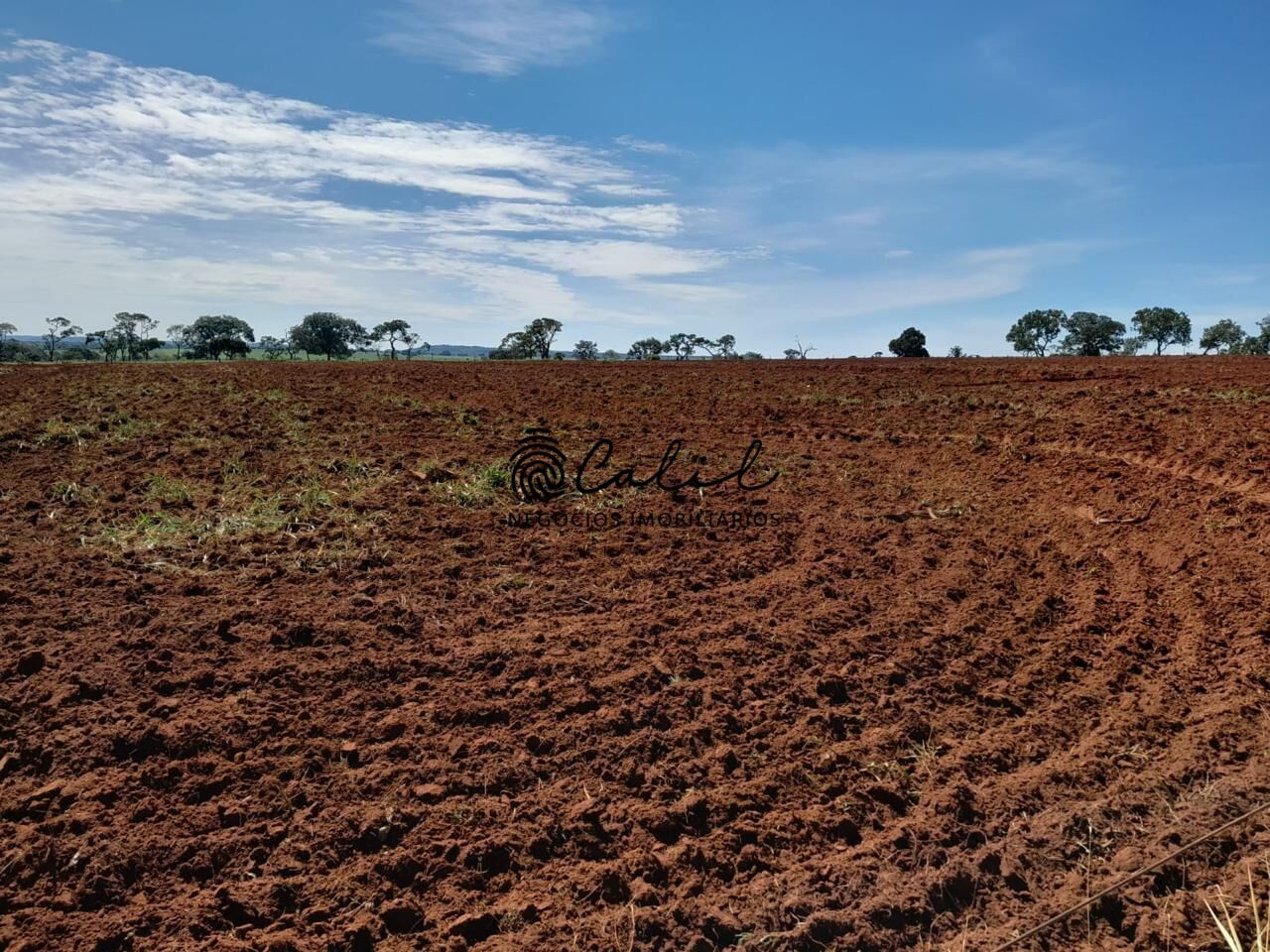 Fazenda à venda com 1 quarto, 2700000m² - Foto 4