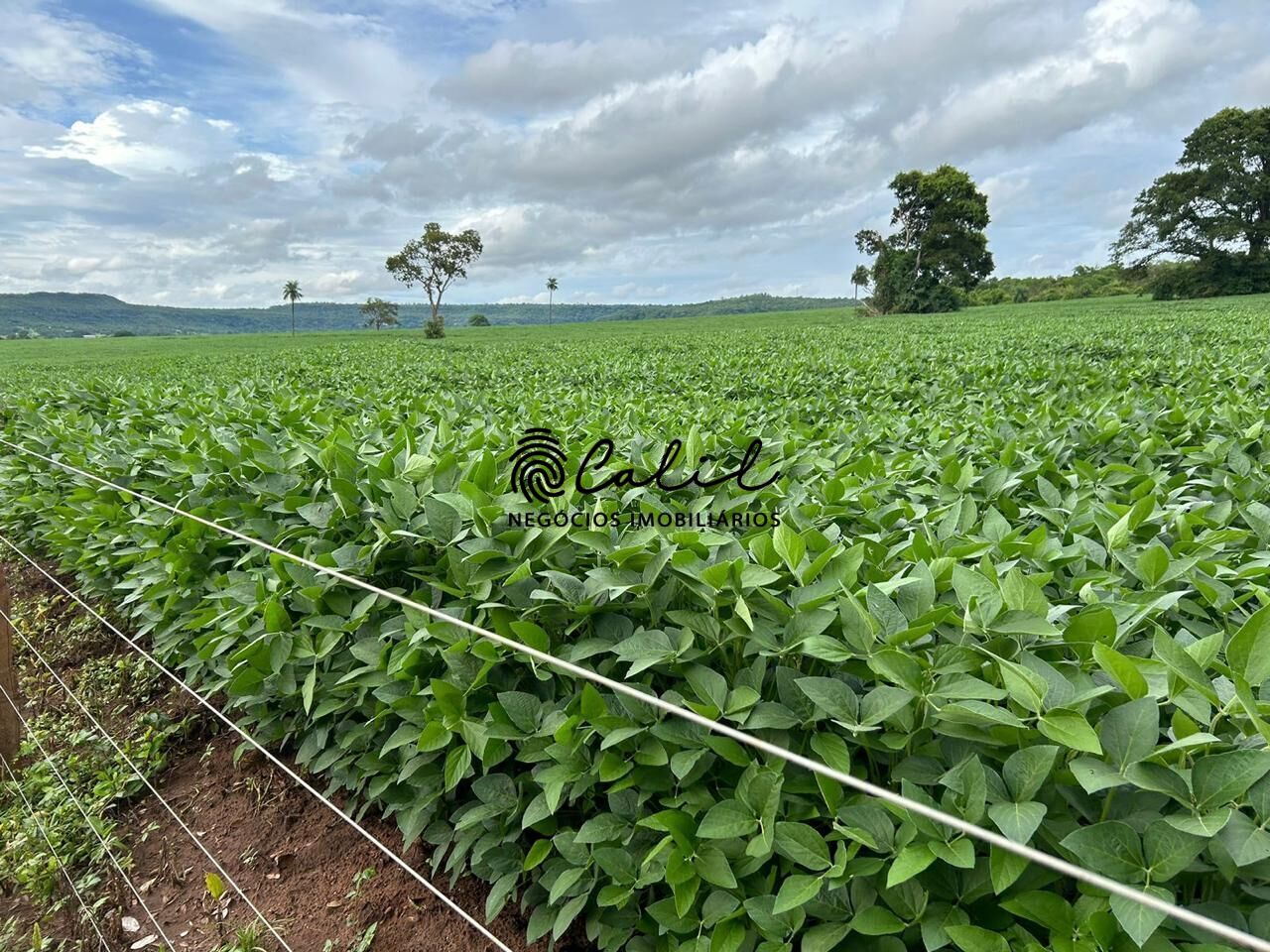 Fazenda à venda com 1 quarto, 2700000m² - Foto 16