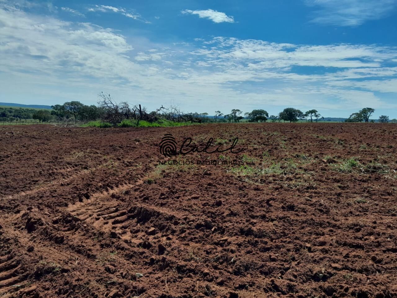 Fazenda à venda com 1 quarto, 2700000m² - Foto 8