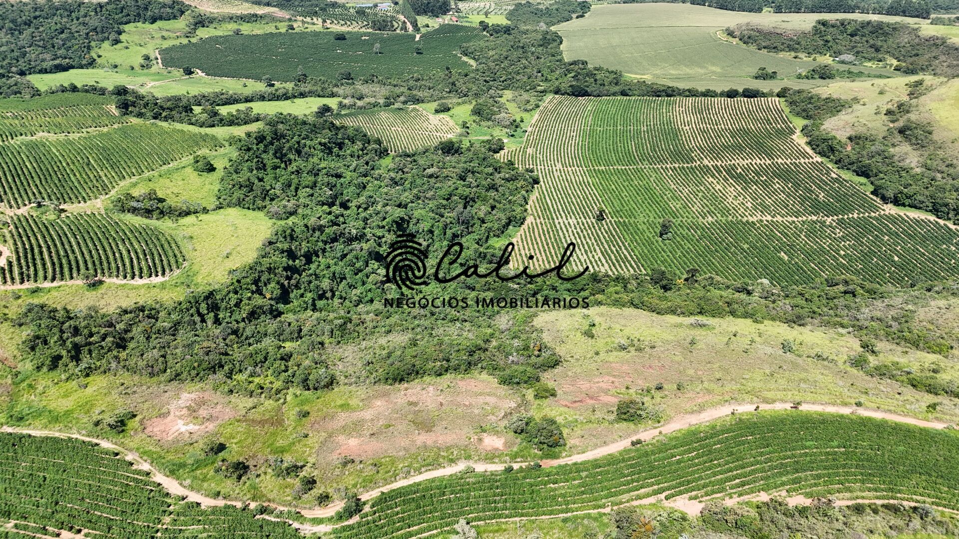 Fazenda à venda com 1 quarto, 1263200m² - Foto 20
