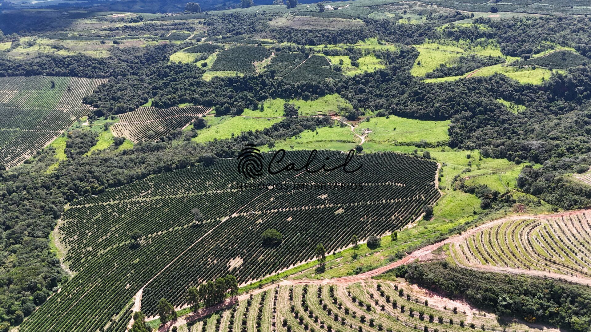 Fazenda à venda com 1 quarto, 1263200m² - Foto 1