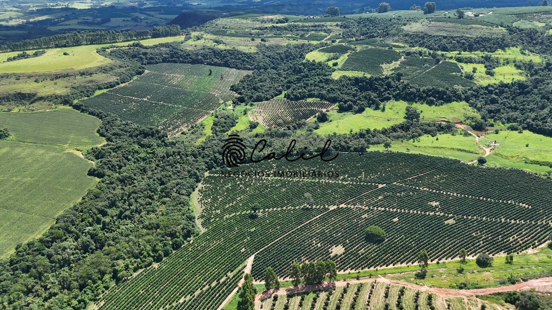 Fazenda à venda com 1 quarto, 1263200m² - Foto 3