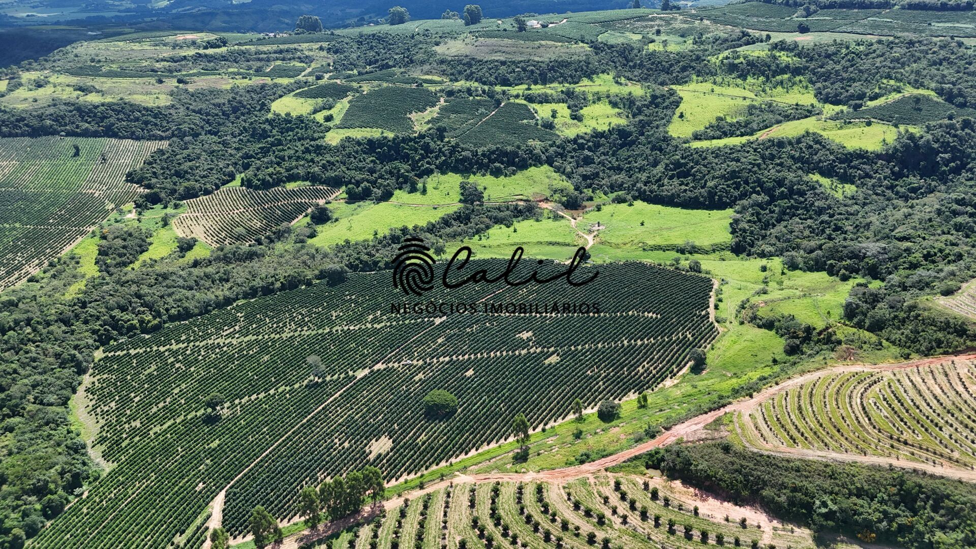 Fazenda à venda com 1 quarto, 1263200m² - Foto 18