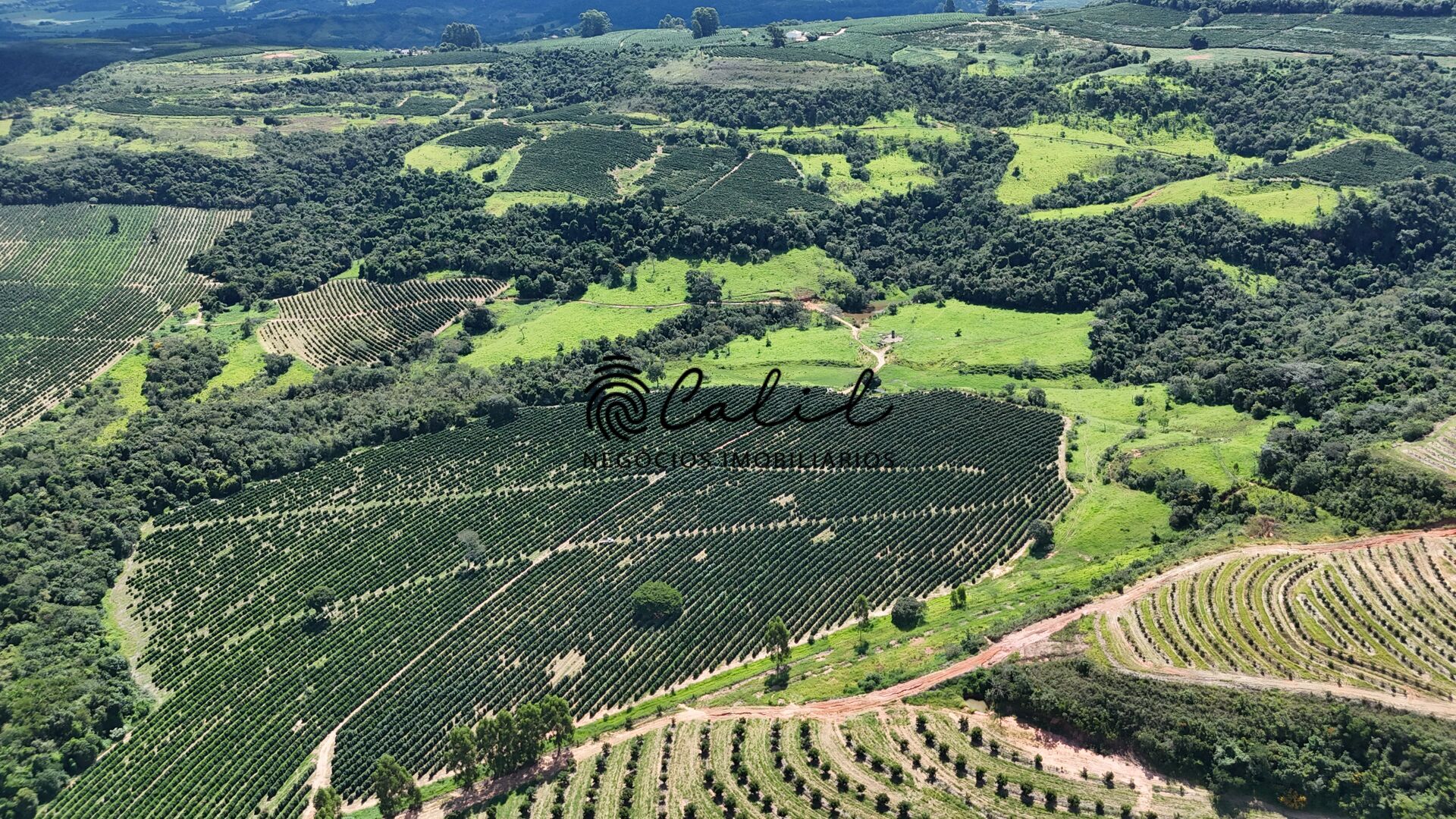 Fazenda à venda com 1 quarto, 1263200m² - Foto 2