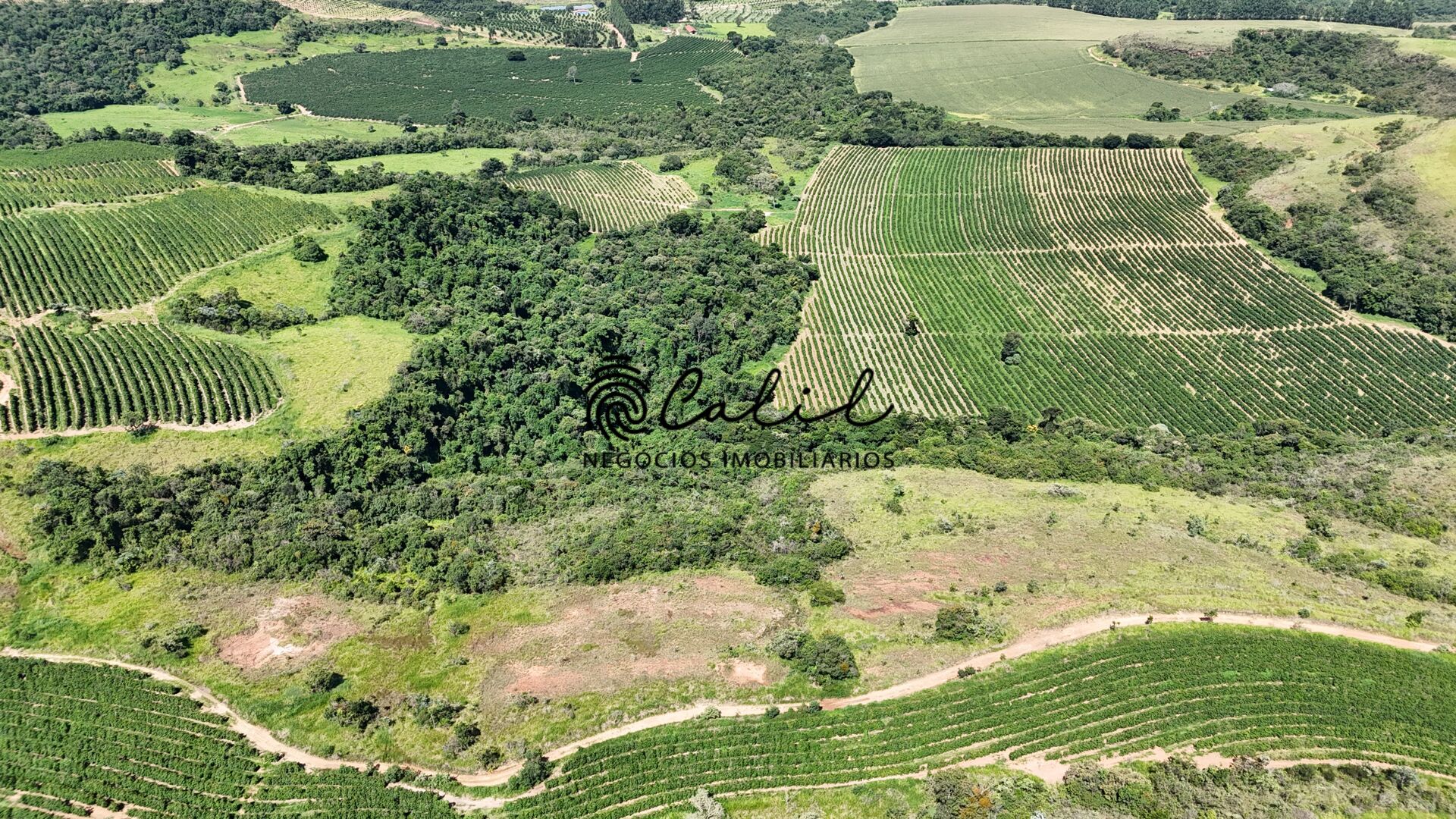 Fazenda à venda com 1 quarto, 1263200m² - Foto 4