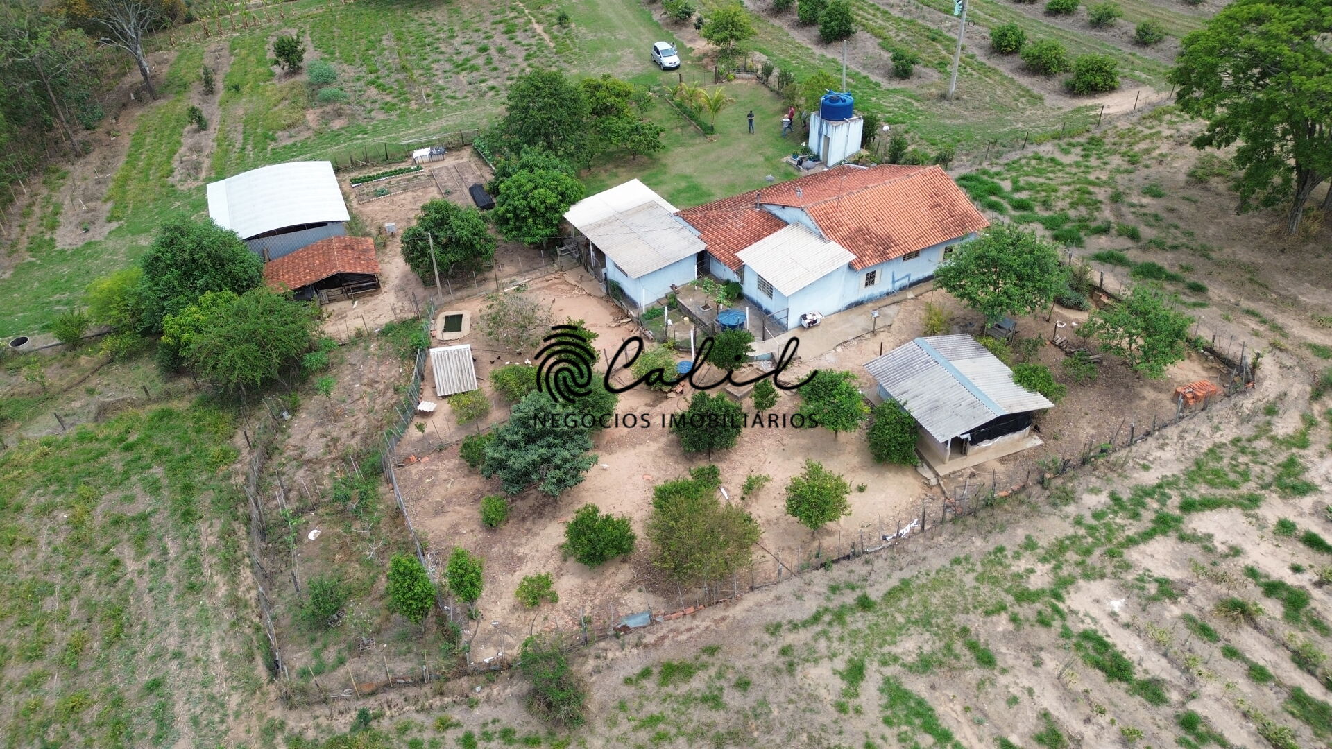 Fazenda à venda com 3 quartos, 30400m² - Foto 6