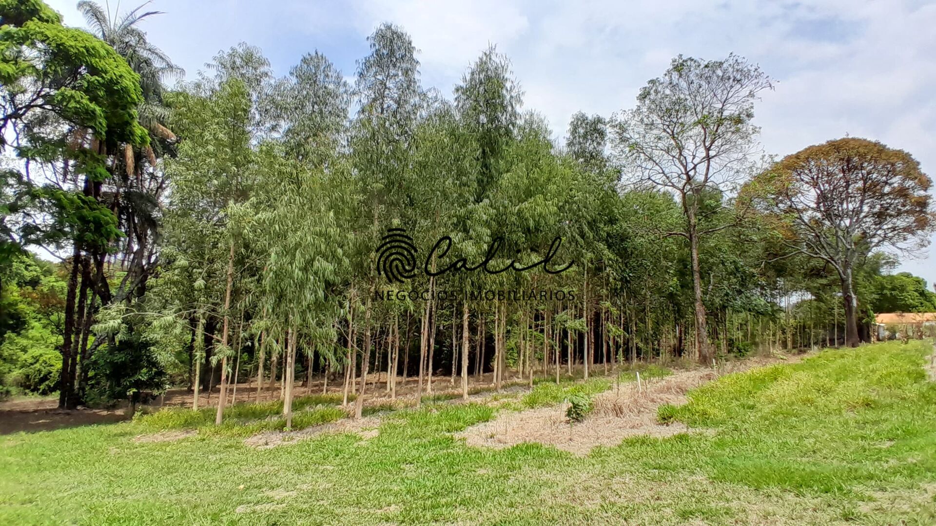 Fazenda à venda com 3 quartos, 30400m² - Foto 20