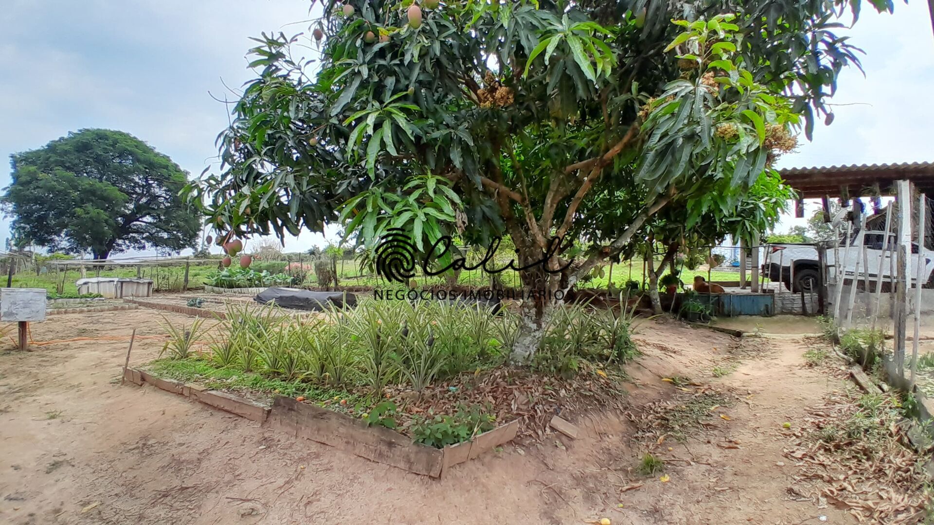 Fazenda à venda com 3 quartos, 30400m² - Foto 19