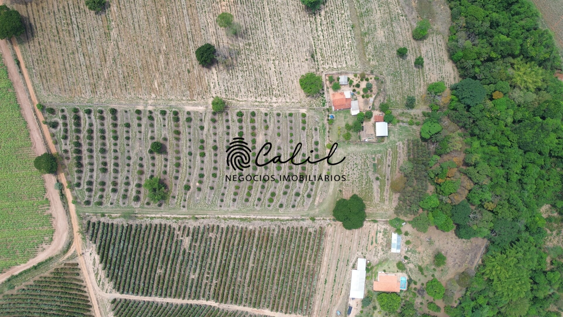 Fazenda à venda com 3 quartos, 30400m² - Foto 3