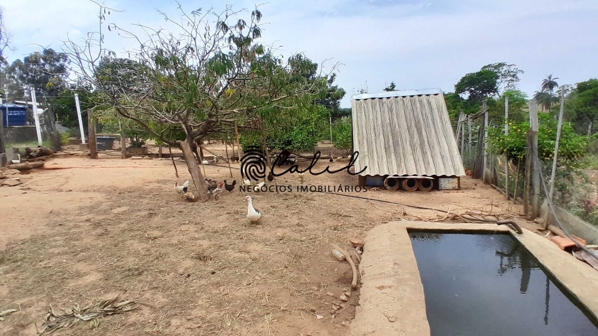 Fazenda à venda com 3 quartos, 30400m² - Foto 12